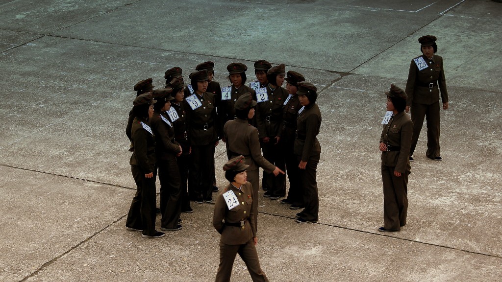 What does the government control in north korea?